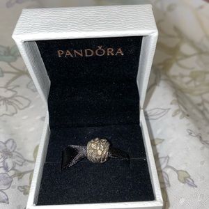 Pandora charm